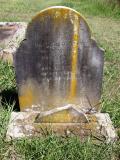 image of grave number 651364
